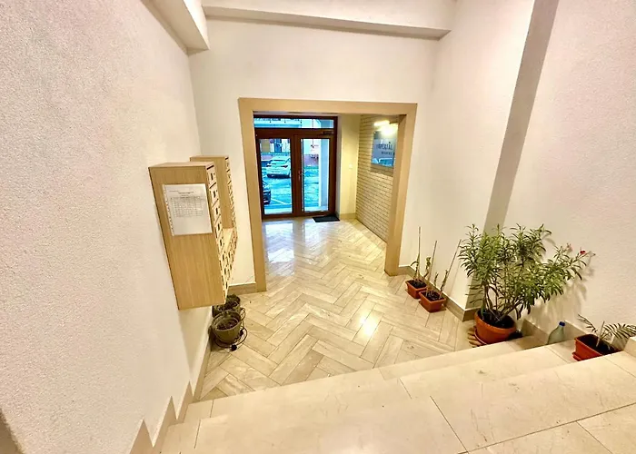 Green Terrace In Appartement